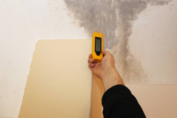 Best Commercial Mold Inspection  in St Georges, DE