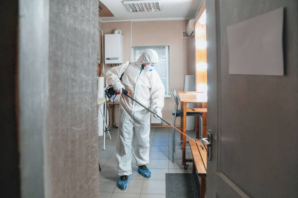 Best Mold Prevention Services  in St Georges, DE