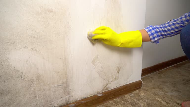 Best Residential Mold Inspection & Testing  in St Georges, DE