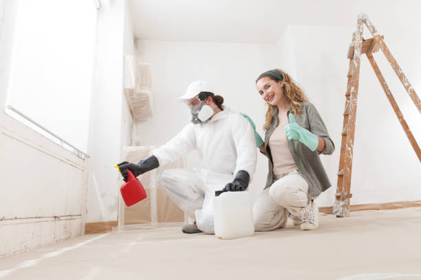 Best Industrial Mold Remediation  in St Georges, DE